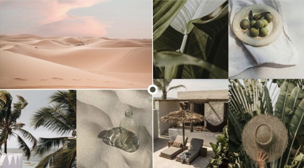 Moodboard of sand dunes, palm trees, green leaves, olives, a straw hat and a beach terrace.