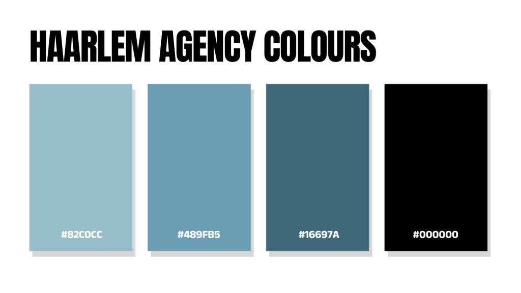 Haarlem Agency colour palette with three shades of blue and black, each labelled with its hex code.